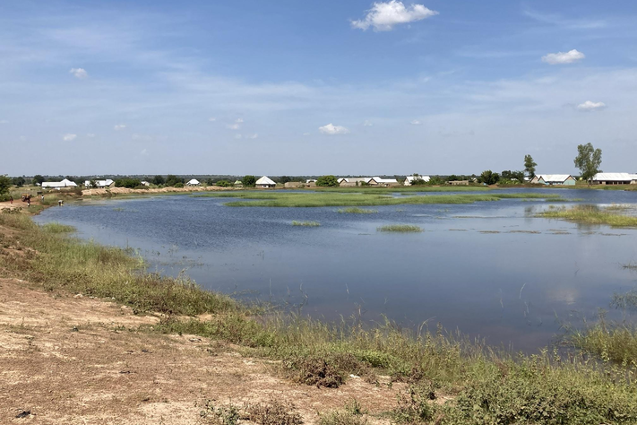 Das Bild zeigt eine Wasserfläche in Ghana mit einem sandigen Ufer. Auf dem Wasser sind stellenweise Grasflächen zu erkennen.
